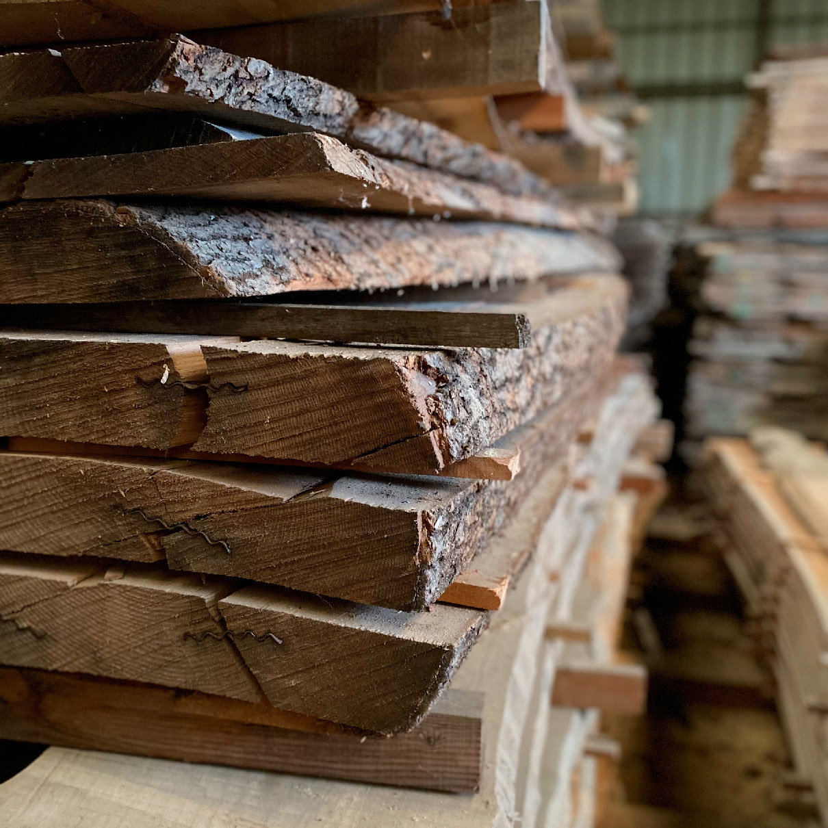 EMPREINTE Bille de bois